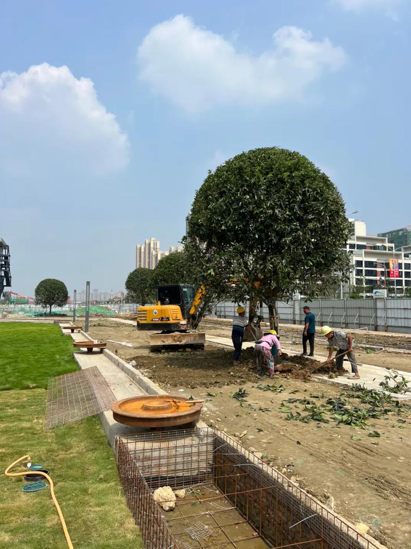 园林景观工程 #现场实拍 #记录工地上的点点滴滴